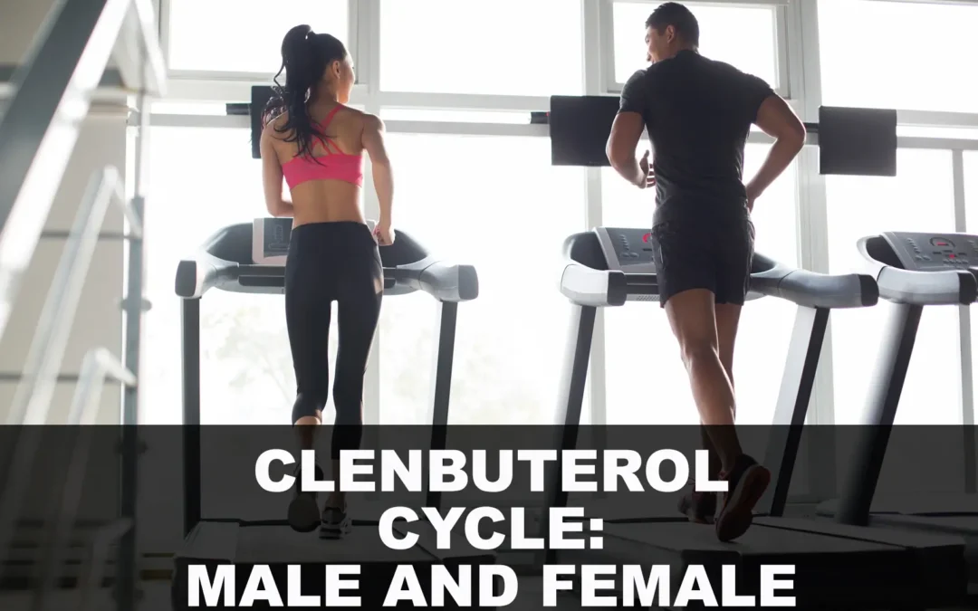 Clenbuterol Guide for Beginners and Its Impact on Weight Loss